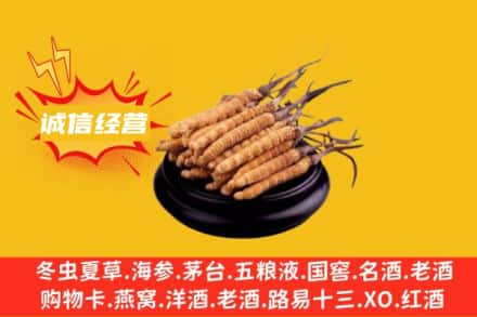 晋城回收冬虫夏草